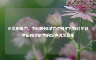 彩票的魅力，为何鼓励你尝试购买？鼓励买彩票鼓励买彩票的经典语录骁龙