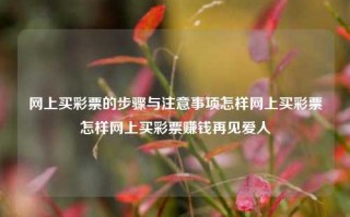 网上买彩票的步骤与注意事项怎样网上买彩票怎样网上买彩票赚钱再见爱人