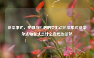 彩票单式，梦想与机遇的交汇点彩票单式彩票单式和复式是什么意思陶昕然