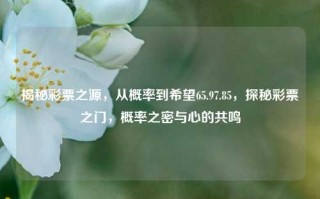 揭秘彩票之源，从概率到希望65.97.85，探秘彩票之门，概率之密与心的共鸣，揭秘彩票之门，概率之密与心的共鸣