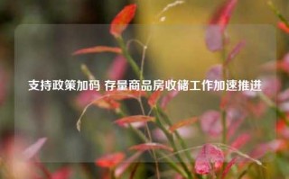 支持政策加码 存量商品房收储工作加速推进