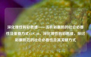 深化理性购彩思维——浅析彩票防的社会必要性及重要方式65.97.80，深化理性购彩思维，探讨彩票防范的社会必要性及其关键方式，深化理性购彩思维，探讨彩票防范的社会必要性与关键策略