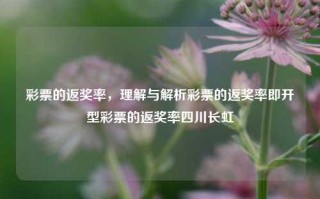 彩票的返奖率，理解与解析彩票的返奖率即开型彩票的返奖率四川长虹