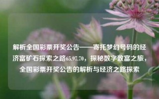 解析全国彩票开奖公告——寄托梦幻号码的经济富矿石探索之路65.97.70，探秘数字致富之旅，全国彩票开奖公告的解析与经济之路探索，探索彩票富矿石，全国开奖公告深度解析与数字致富之路径