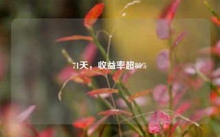 71天，收益率超80%