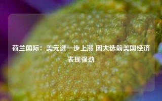 荷兰国际：美元进一步上涨 因大选前美国经济表现强劲