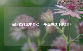 丽翔教育盘中异动 下午盘急速下跌5.08%