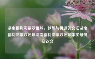 湖南福利彩票双色球，梦想与机遇的交汇湖南福利彩票双色球湖南福利彩票双色球中奖号码郑钦文