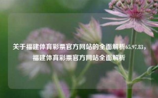 关于福建体育彩票官方网站的全面解析65.97.83，福建体育彩票官方网站全面解析，福建体育彩票官方网站全面解析65.97.83