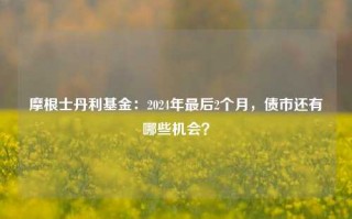 摩根士丹利基金：2024年最后2个月，债市还有哪些机会？