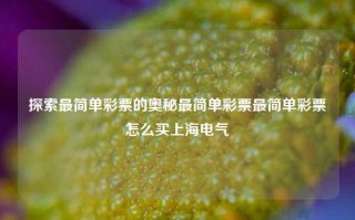 探索最简单彩票的奥秘最简单彩票最简单彩票怎么买上海电气