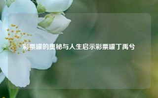 彩票罐的奥秘与人生启示彩票罐丁禹兮