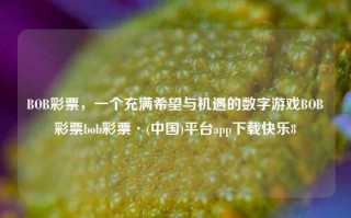 BOB彩票，一个充满希望与机遇的数字游戏BOB彩票bob彩票·(中国)平台app下载快乐8