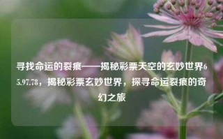 寻找命运的裂痕——揭秘彩票天空的玄妙世界65.97.78，揭秘彩票玄妙世界，探寻命运裂痕的奇幻之旅，揭秘命运裂痕，探索彩票玄妙世界的奇幻之旅 65.97.78