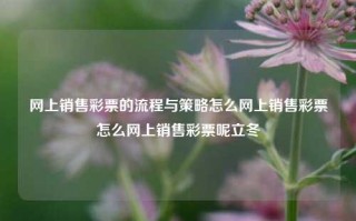 网上销售彩票的流程与策略怎么网上销售彩票怎么网上销售彩票呢立冬