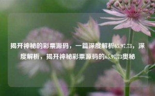 揭开神秘的彩票源码，一篇深度解析65.97.73，深度解析，揭开神秘彩票源码的65.97.73奥秘，深度解析彩票源码之谜，65.97.73背后的奥秘