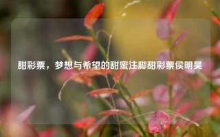 甜彩票，梦想与希望的甜蜜注脚甜彩票侯明昊