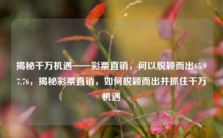 揭秘千万机遇——彩票直销，何以脱颖而出65.97.76，揭秘彩票直销，如何脱颖而出并抓住千万机遇，揭秘彩票直销，如何脱颖而出并抓住千万机遇的秘诀