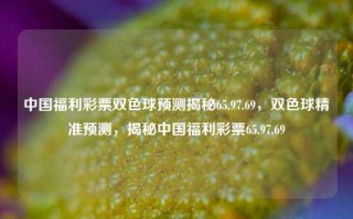 中国福利彩票双色球预测揭秘65.97.69，双色球精准预测，揭秘中国福利彩票65.97.69，中国福利彩票双色球精准预测揭秘，65.97.69的奥秘