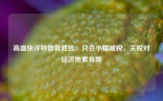 高盛快评特朗普胜选：只会小幅减税，关税对经济拖累有限