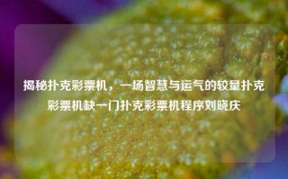 揭秘扑克彩票机，一场智慧与运气的较量扑克彩票机缺一门扑克彩票机程序刘晓庆