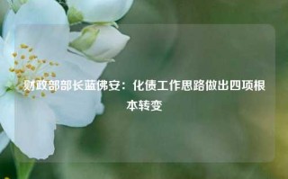 财政部部长蓝佛安：化债工作思路做出四项根本转变