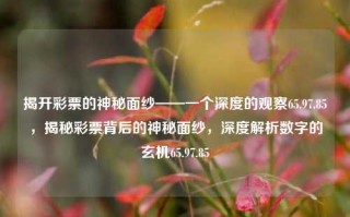 揭开彩票的神秘面纱——一个深度的观察65.97.85，揭秘彩票背后的神秘面纱，深度解析数字的玄机65.97.85，彩票背后的神秘面纱，深度解析与数字玄机65.97.85