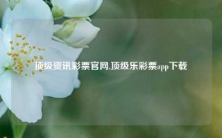 顶级资讯彩票官网,顶级乐彩票app下载