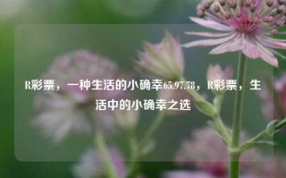 R彩票，一种生活的小确幸65.97.78，R彩票，生活中的小确幸之选，R彩票，生活中小确幸之首选（金金额数目不代表正文一部分，不予参考用于起名标题）