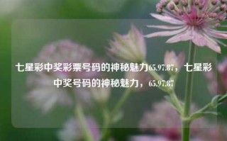 七星彩中奖彩票号码的神秘魅力65.97.87，七星彩中奖号码的神秘魅力，65.97.87，七星彩中奖号码神秘魅力揭秘，65.97.87