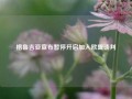 格鲁吉亚宣布暂停开启加入欧盟谈判