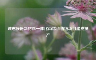 诚志股份新材料一体化丙烯价值链项目建成投产