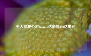 无人驾驶公司Waymo估值超450亿美元