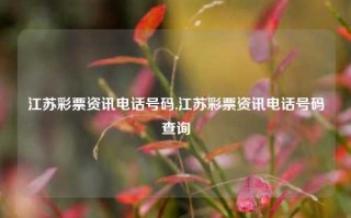 江苏彩票资讯电话号码,江苏彩票资讯电话号码查询