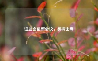 证监会最新会议，吴清出席