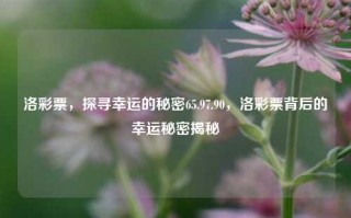 洛彩票，探寻幸运的秘密65.97.90，洛彩票背后的幸运秘密揭秘，揭秘洛彩票背后的幸运秘密65.97.90