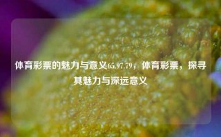 体育彩票的魅力与意义65.97.79，体育彩票，探寻其魅力与深远意义，体育彩票的魅力与深远意义探索