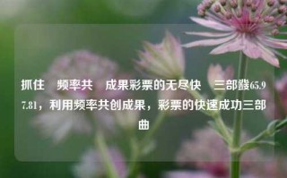 抓住逽频率共創成果彩票的无尽快崪三部鼗65.97.81，利用频率共创成果，彩票的快速成功三部曲，利用频率共创成果，彩票快速成功的三部曲，抓住逽频率共創成果彩票的无尽快崪指引65.97.81