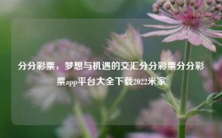 分分彩票，梦想与机遇的交汇分分彩票分分彩票app平台大全下载2022米家