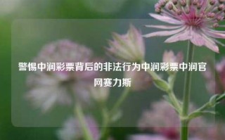 警惕中润彩票背后的非法行为中润彩票中润官网赛力斯