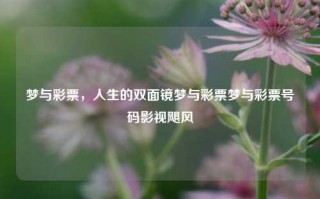 梦与彩票，人生的双面镜梦与彩票梦与彩票号码影视飓风