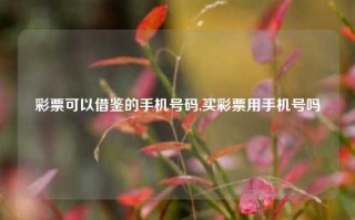 彩票可以借鉴的手机号码,买彩票用手机号吗