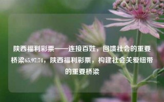 陕西福利彩票——连接百姓，回馈社会的重要桥梁65.97.74，陕西福利彩票，构建社会关爱纽带的重要桥梁，陕西福利彩票——爱心交流的社会福利之桥