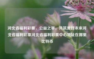 河北省福利彩票，公益之举，共筑美好未来河北省福利彩票河北省福利彩票中心地址在哪里比特币