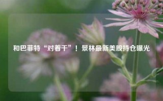 和巴菲特“对着干”！景林最新美股持仓曝光