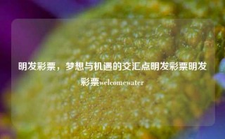 明发彩票，梦想与机遇的交汇点明发彩票明发彩票welcomewater