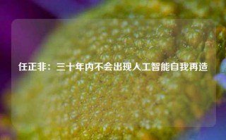 任正非：三十年内不会出现人工智能自我再造