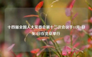 十四届全国人大常委会第十二次会议于11月4日至8日在北京举行