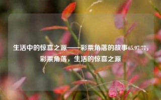 生活中的惊喜之源——彩票角落的故事65.97.77，彩票角落，生活的惊喜之源，彩票角落，生活中的惊喜之源 65.97.77