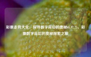 彩票走势大全，探寻数字背后的奥秘65.97.75，彩票数字背后的奥秘探索之旅，彩票数字背后的奥秘探索之旅，65.97.75的走势解析